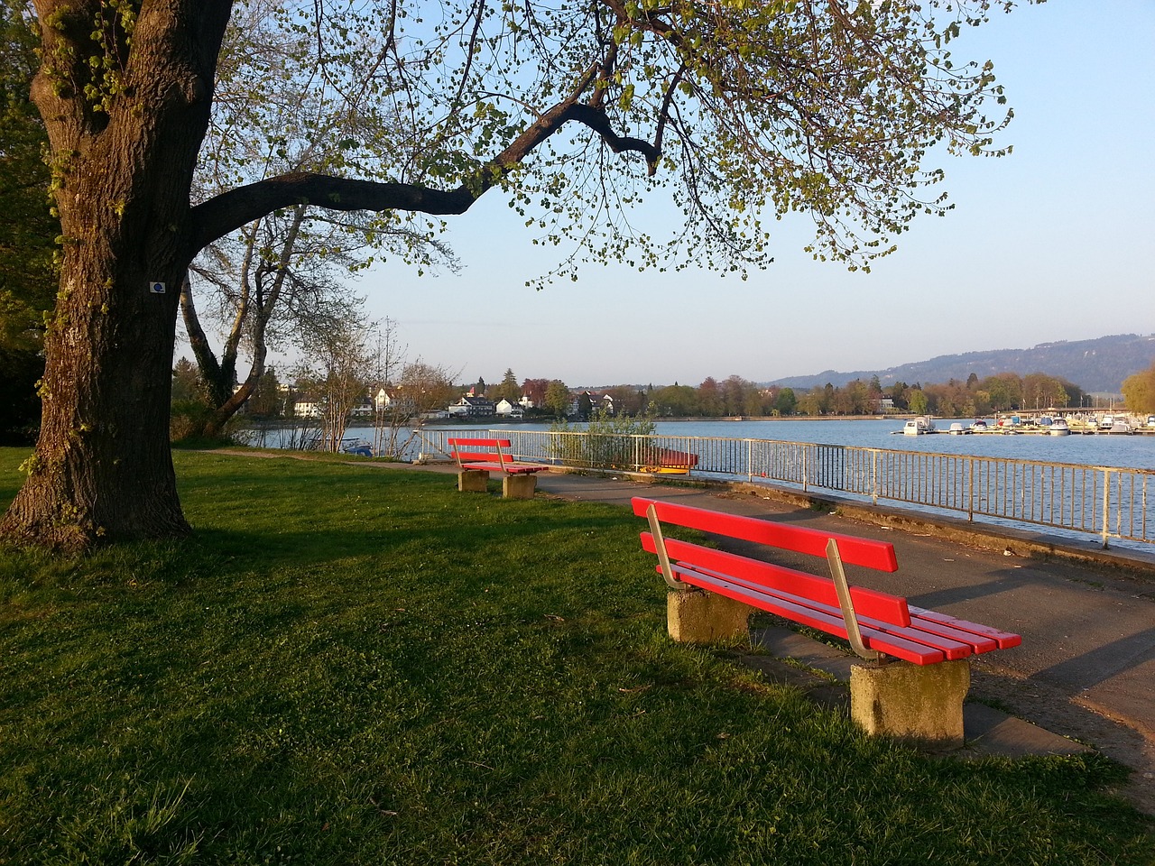 中的每一个 中的每一个