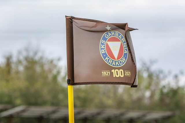 高效與長期 高效與長期